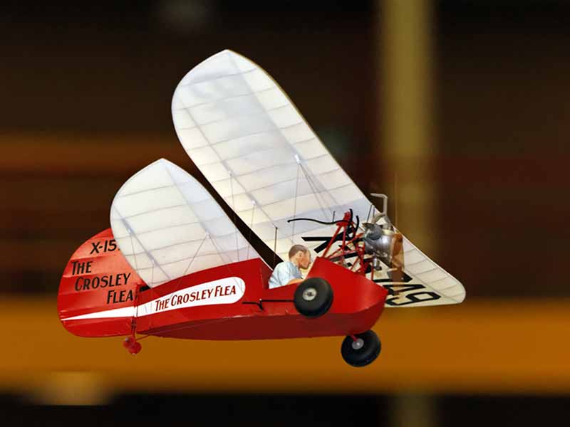 Flying Flea
